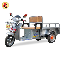 Electric trike with spacious cargo holder