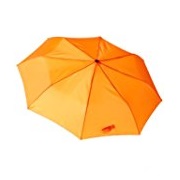 Lewis N. Clark Compact & Lightweight Travel Umbrella, Automatic