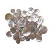 Blumenthal Lansing Favorite Findings Shellz Buttons, Multisize, Round Agoya