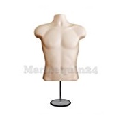 The Competitive Store Male Mannequin Torso 19 to 38in With Metal Base