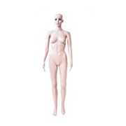 FCH Female Full Body Mannequin With Base, Display Head Turns
