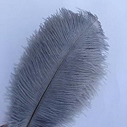 Sowder 10-Piece Ostrich Feathers 12 to 14in, Gray