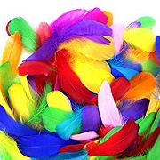 Coceca 300 Pieces Colorful Feathers