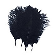Shekyeon Black 10 to 12in Ostrich Feathers, Pack of 10