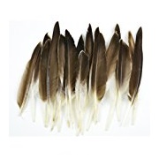Touchof Nature 22-Piece Duck Wing Quills, 8in, Natural/Gray