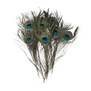 Kayso Pack of 30 Natural Peacock Feathers, 10 to 12in