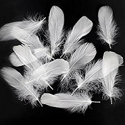 Coceca 350 Pieces White Feathers