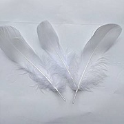 Sowder Natural Goose Feathers Clothing Accessories Pack of 100