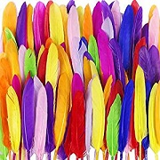 LoveS 250 Pieces Natural Feathers, Assorted Colors, Handmade
