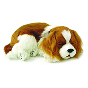 Perfect Petzzz Cavalier King Charles Plush