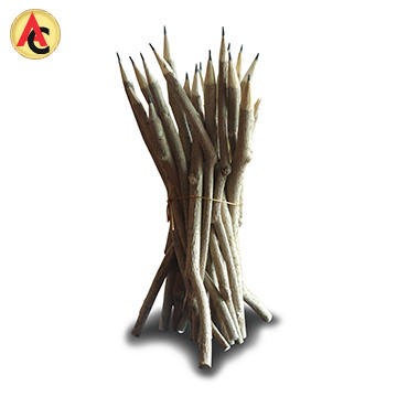 Pencils with bodies made of twigs