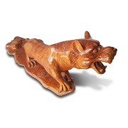 Bengal tiger comes in padauk sapwood