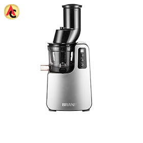 Silent masticating juicer takes whole fruits
