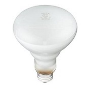 Philips 248872 Soft White 65-Watt BR30 Indoor Flood Light Bulb, 12-Pack