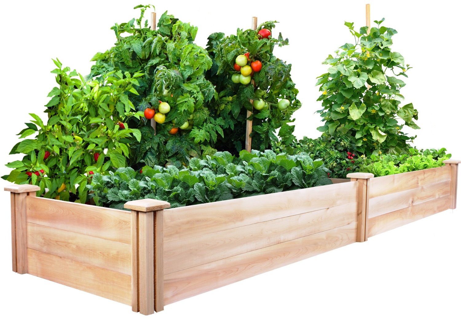 Greenes Cedar Raised Garden Kit 2 Ft. X 8 Ft. X 10.5 In.