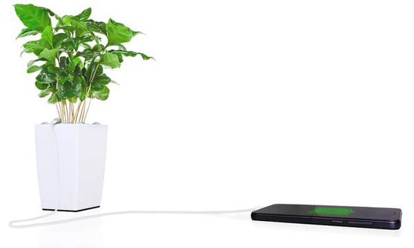 Plant pot doubles as mobile charger