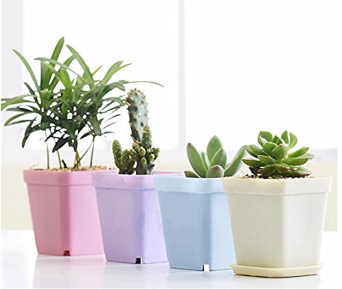 KLOUD City 14pcs Colorful Square Plastic Planter with Pallet Tray
