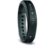  Garmin Vivosmart - Black Bundle (Large)