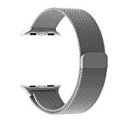 Penom 38mm Stainless Steel Mesh Loop Milanese Band