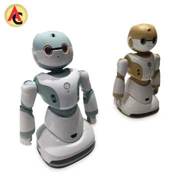 home automation robot