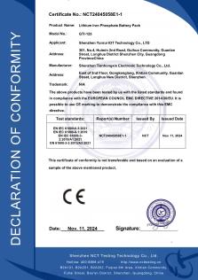 Dongguan Chepinyi Electronic Technology Co., Ltd.certification
