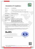 Dongguan Ten Zhuo Electronic Technology Co., Ltd.certification