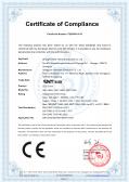 Dongguan Speedtek Electronic Co.,Ltd.certification