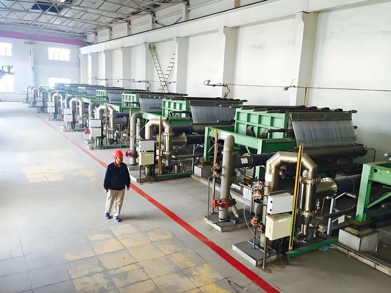 Shandong Dingyi Import and Export Co., Ltd. 2