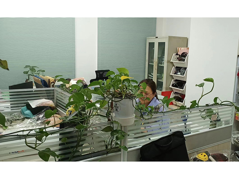 Qingdao Kekko Trading Co. Ltd 3