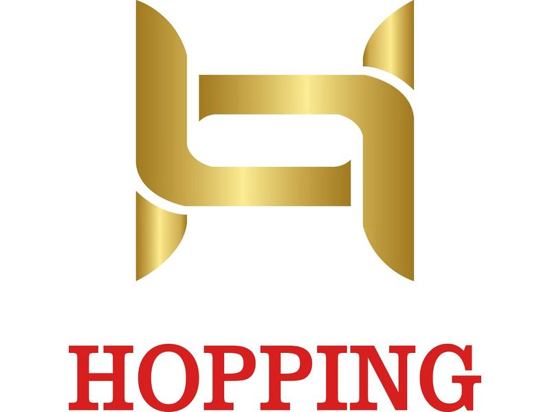 Huaian Hopping International Trading Co., Ltd. 4