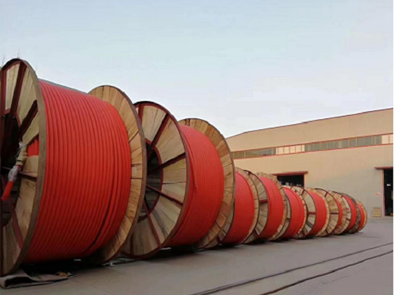 Hefei Tingxing commodity co.,ltd 2
