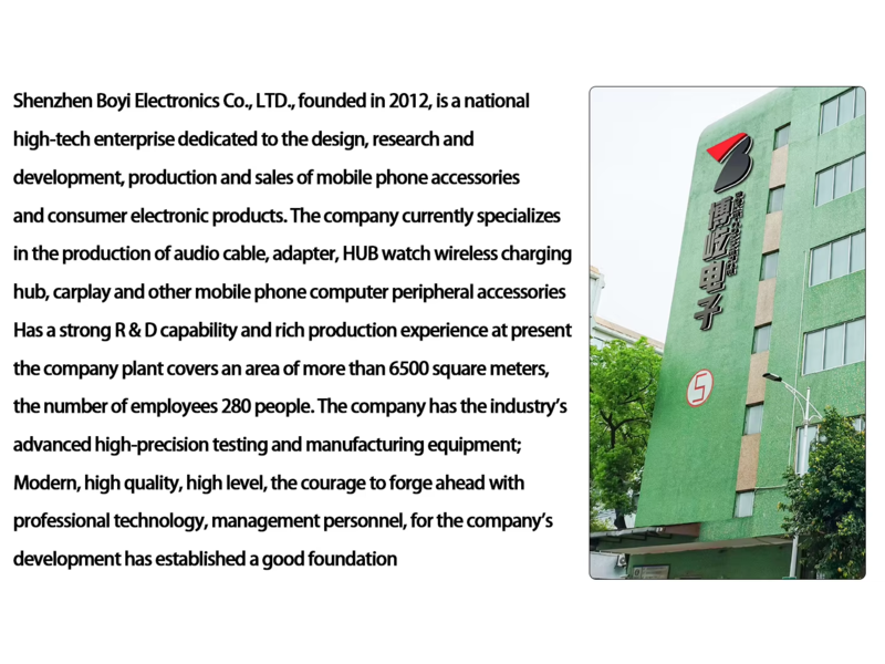 Shenzhen Boyi Electronics Co., Ltd. 4
