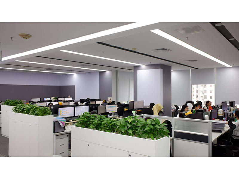 Shenzhen New Chain Logistics Co., Ltd. 5