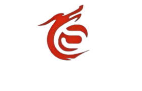 Dongguan Longsheng Electronic Technology Co.Ltd