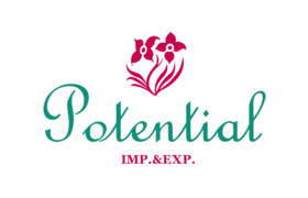 Qingdao Potential Import & Export Co. Ltd