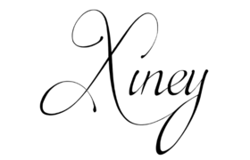 Guangzhou Xiney ELectronic Technology Limited