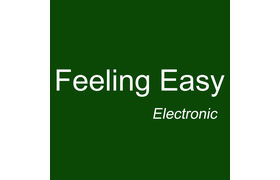 NINGBO FEELING EASY ELECTRONIC CO., LTD