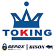 TOKING HOLDING GROUP LIMITED