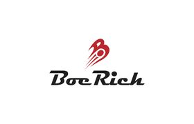 Wuxi Boerich International Corp. Ltd.