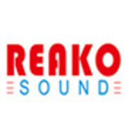 Shenzhen Reako Electronic Co.,LTD
