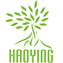 Changzhou HaoYing Electronics Co., LTD.