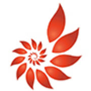 X-Star Technology Co.,Ltd