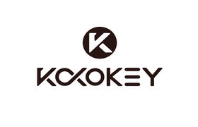 Dongguan Boom Electronics Technology Co., Ltd