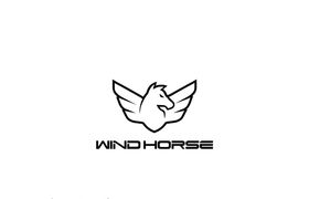 Dongguan Wind Horse New Energy Technology Limited