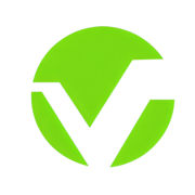 Virtuous Electronics Co., Ltd.