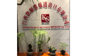Jiangxi Kaishun Garment Import & Export Co. Ltd