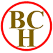 Bochlun (hongkong) industrial limited