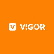 Shenzhen VIGOR ACOUSTIC Technology Co., Ltd.