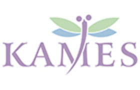 Shenzhen Kames Technology Co., Ltd