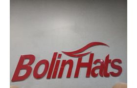 Tancheng Bolin Handicraft Co. Ltd